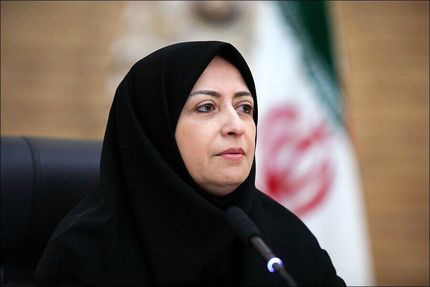 رئیس سازمان حفاظت محیط زیست: تخریب جنگل‌های الیمالات به صورت جدی پیگیری می‌کنم