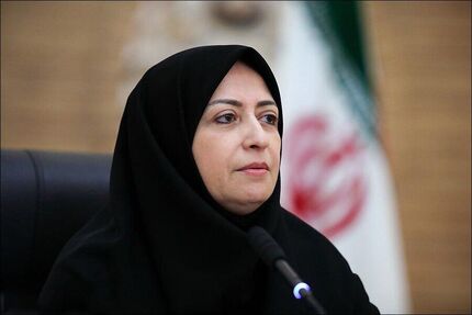 رئیس سازمان حفاظت محیط زیست: تخریب جنگل‌های الیمالات به صورت جدی پیگیری می‌کنم