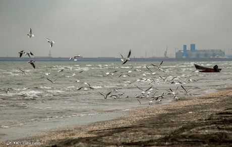کاهش تراز آب دریای خزر