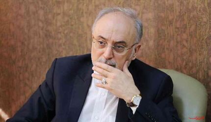 صالحی: خانواده‌های جان‌باختگان سقوط هواپیمای اوکراینی ما را در مصیبت‌شان شریک بدانند