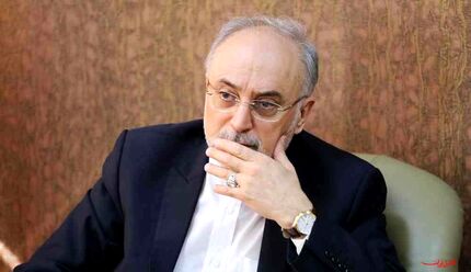 صالحی: خانواده‌های جان‌باختگان سقوط هواپیمای اوکراینی ما را در مصیبت‌شان شریک بدانند