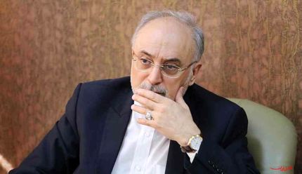 صالحی: خانوادههای جانباختگان سقوط هواپیمای اوکراینی ما را در مصیبتشان شریک بدانند