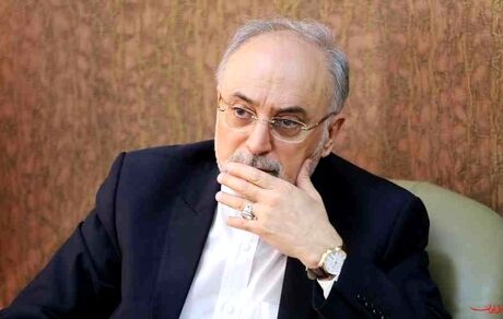 صالحی: خانواده‌های جان‌باختگان سقوط هواپیمای اوکراینی ما را در مصیبت‌شان شریک بدانند