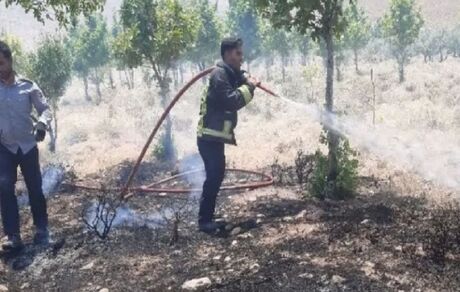 مهار آتش سوزی مزارع کشاورزی اشکفتک شهرکرد