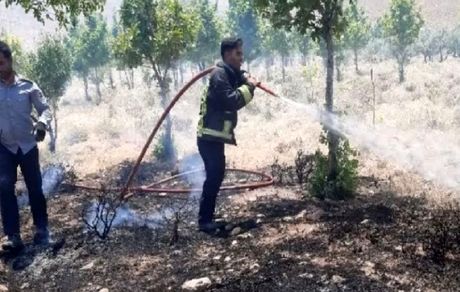 مهار آتش سوزی مزارع کشاورزی اشکفتک شهرکرد