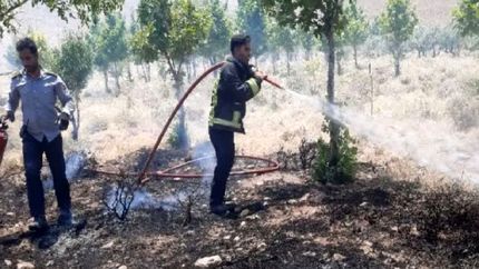 مهار آتش سوزی مزارع کشاورزی اشکفتک شهرکرد