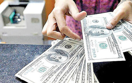روند قیمت در بازار دلار معکوس شد