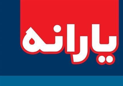 جریمه ارائه اطلاعات نادرست ، حذف همیشگی یارانه
