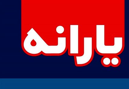 جریمه ارائه اطلاعات نادرست ، حذف همیشگی یارانه