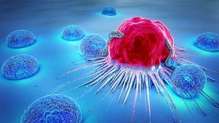 احتمال قرارگرفتن واکسن عفونت HPV در برنامه واکسیناسیون ملی