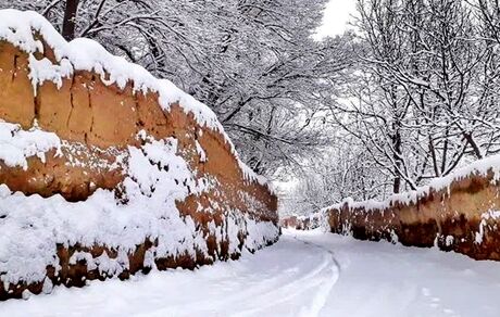 نیم متر برف در ازنا استان لرستان