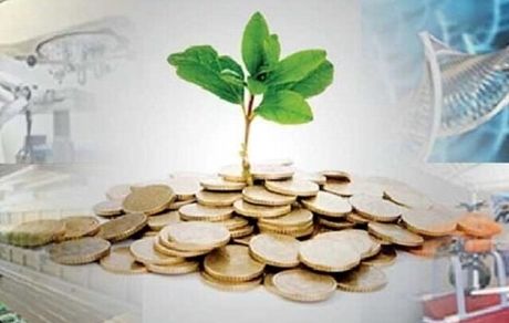 رشد ۱۴۶ درصدی اعطای خدمات مالی به شرکت‌های دانش بنیان از سوی صندوق نوآوری و شکوفایی