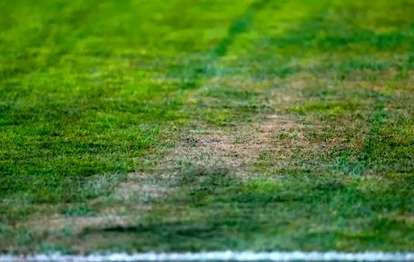 هواداران تراکتور خواهان رسیدگی به تخلفات احتمالی پروژه تغییر چمن ورزشگاه یادگار امام شدند