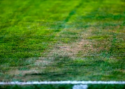 هواداران تراکتور خواهان رسیدگی به تخلفات احتمالی پروژه تغییر چمن ورزشگاه یادگار امام شدند