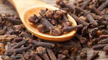سطح استرس خود را  با میخک کاهش دهید