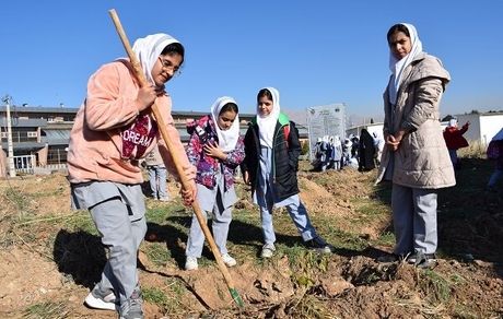 افتتاح نخستین نهالستان دانش آموزی کشور