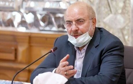 رییس مجلس: ۸۰ درصد اقتصاد به دولت متکی است