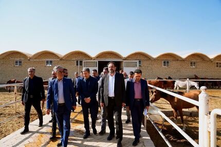کلنگ زنی طرح ۲۰ هزار میلیارد ریالی گردشگری فرهنگی بین‌المللی «اسب دره‌شوری»