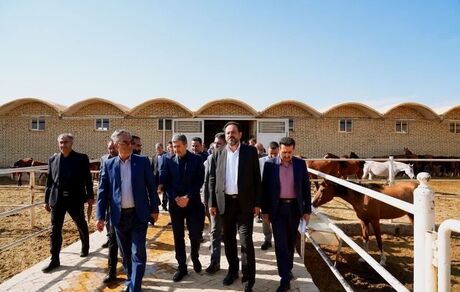 کلنگ زنی طرح ۲۰ هزار میلیارد ریالی گردشگری فرهنگی بین‌المللی «اسب دره‌شوری»