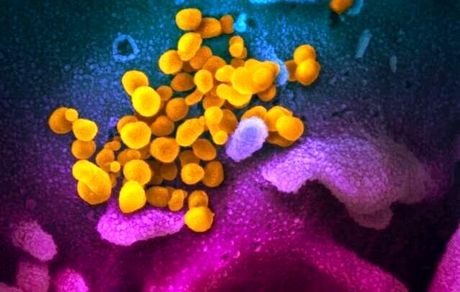 شناسایی سویه اُمیکرون در عربستان