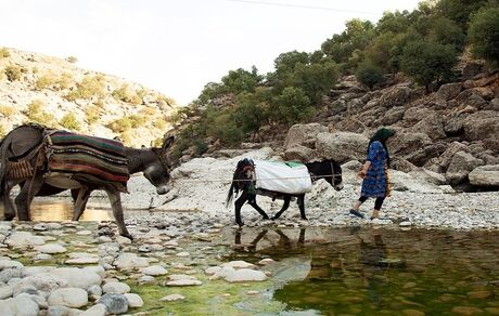 کم‌آبی، مشکل جدید عشایر آذربایجان‌غربی