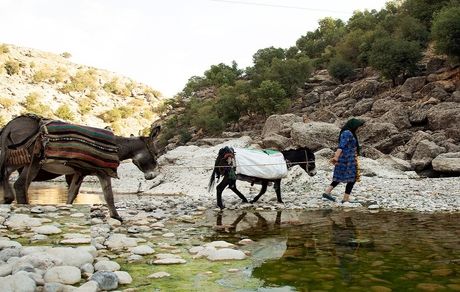کم‌آبی، مشکل جدید عشایر آذربایجان‌غربی