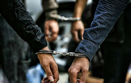 بازداشت ۲۸ نفر عضو یک شرکت هرمی در کرج