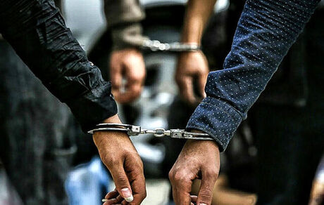 بازداشت ۲۸ نفر عضو یک شرکت هرمی در کرج