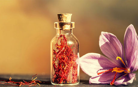 رونق صادرات زعفران در گرو اقتصاد جهانی/ گرانی زعفران ارتباطی به کشاورزان ندارد