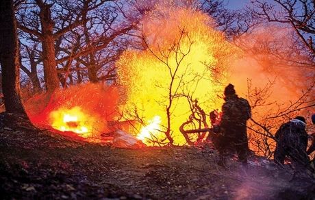 بلای نگران کننده آتش سوزی جنگل‌ها به خاک‌های آلی