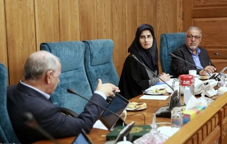 اصلاح و تصویب موادی از لایحه «ایجاد نهاد ملی حقوق بشر و شهروندی»