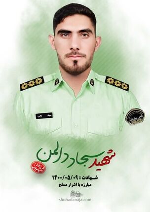 حکم قصاص قاتل شهید دالمن اجرا شد