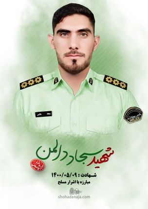 حکم قصاص قاتل شهید دالمن اجرا شد