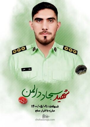 حکم قصاص قاتل شهید دالمن اجرا شد