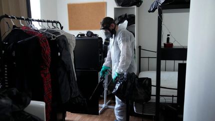 تعطیلی هفت مدرسه فرانسه بدلیل گزیدگی ساس