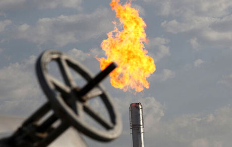 کدام کالای ایرانی بیشترین مشتری جهانی را دارد؟/ موبایل و نهاده های دامی رتبه اول واردات