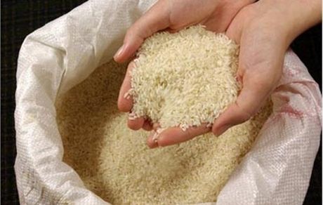 نماینده ساری: برنج ۹۰ هزار تومانی، ۳۵ هزار تومان خریداری شده است