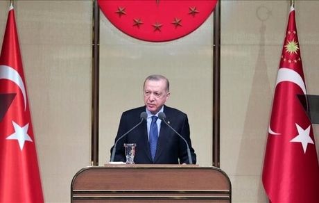 اردوغان خواستار آتش بس فوری در اوکراین شد
