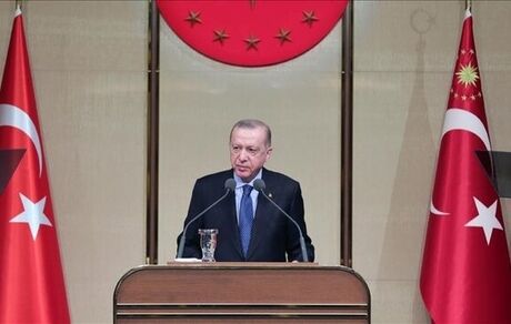 اردوغان خواستار آتش بس فوری در اوکراین شد