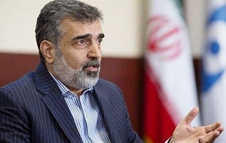 سخنگوی سازمان انرژی اتمی، برداشت اورانیوم ۲۰ درصد را تحت نظر آژانس اعلام کرد