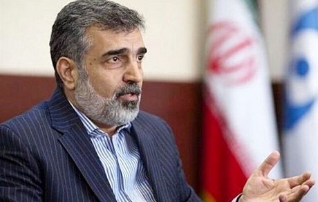 سخنگوی سازمان انرژی اتمی، برداشت اورانیوم ۲۰ درصد را تحت نظر آژانس اعلام کرد