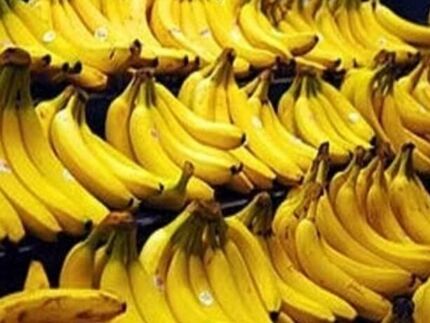 کاغذ بازی‌ها تکلیف واردات هزاران تن موز را مشخص نکرد