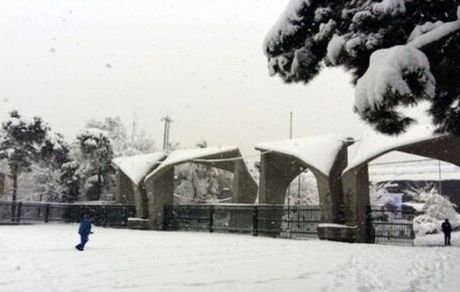 آزادی تعدادی از دانشجویان بازداشتی دانشگاه تهران