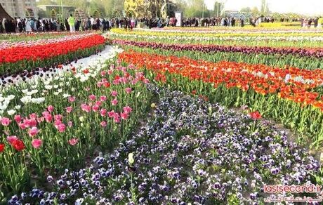 آغاز جشنواره گل‌ها در ارومیه از امروز
