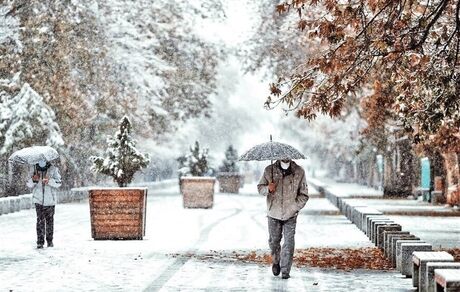 هشدار هواشناسی: وزش باد شدید در جنوب کشور/ بارش برف و باران در ۲۹ استان