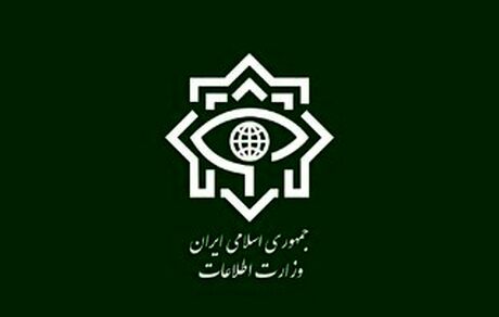 وزارت اطلاعات: دستگیری ۵۴ عامل دشمن در استان‌های تهران، فارس، گیلان و کرمانشاه 