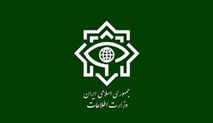 بازداشت ۲۱ عامل موساد و ۴ شرور عضو باندهای مسلح شرارت در استان کرمان 