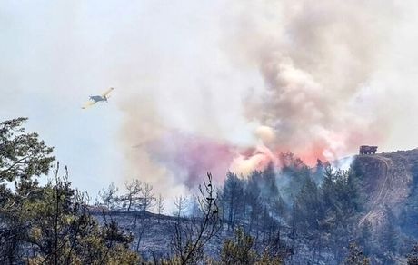 آتش‌سوزی‌های جنگلی شمال قزاقستان، ۱۰ مصدوم در پی داشت