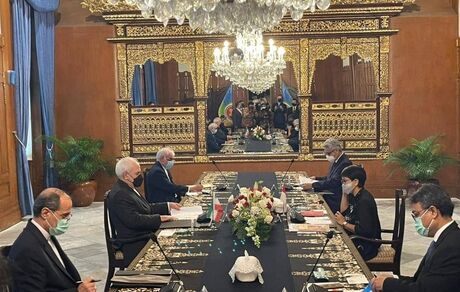 آمادگی ایران برای توسعه همکاری‌ها با اندونزی