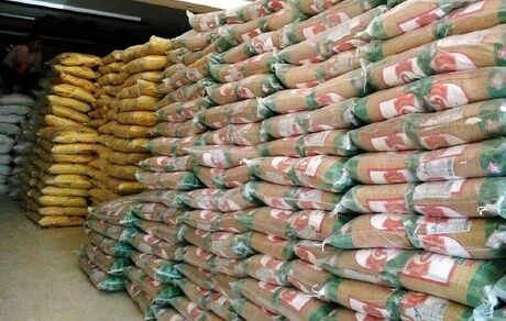 چرایی کاهش واردات برنج به کشور